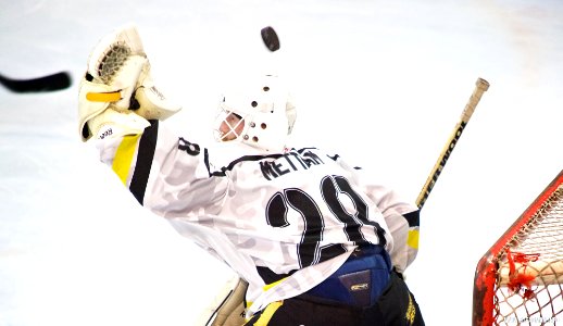 Ice Hockey - Bracknell Bees Vs Sheffield Steeldogs