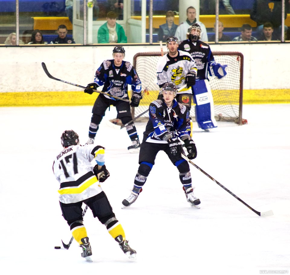Ice Hockey - Bracknell Bees Vs Sheffield Steeldogs