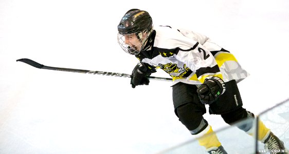 Ice Hockey - Bracknell Bees Vs Sheffield Steeldogs