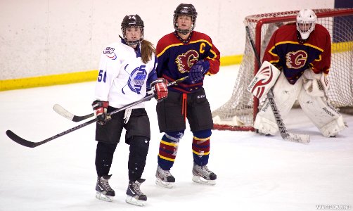 Ice Hockey - Guildford Lightning At Sheffield Shadows
