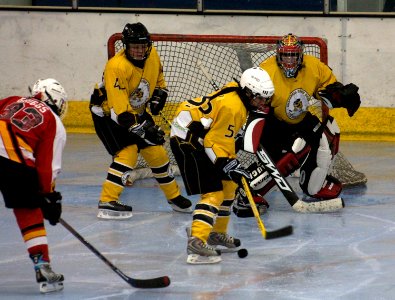 Bracknell Firebees Vs Streatham