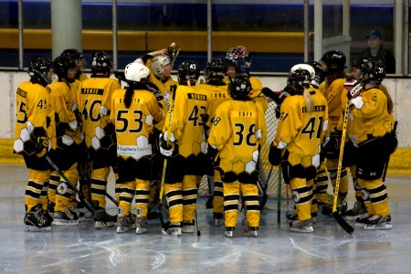 Bracknell Firebees Vs Streatham