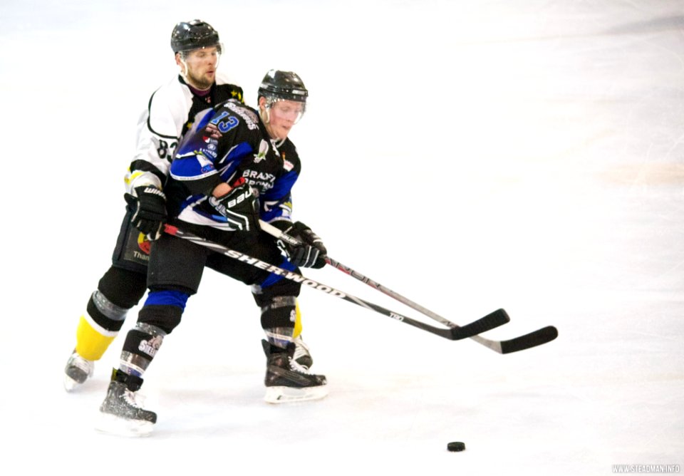 Ice Hockey - Bracknell Bees Vs Sheffield Steeldogs