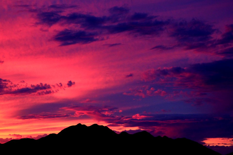 VIEW FROM THE HOUSE - 0211 (4-11-14) -03