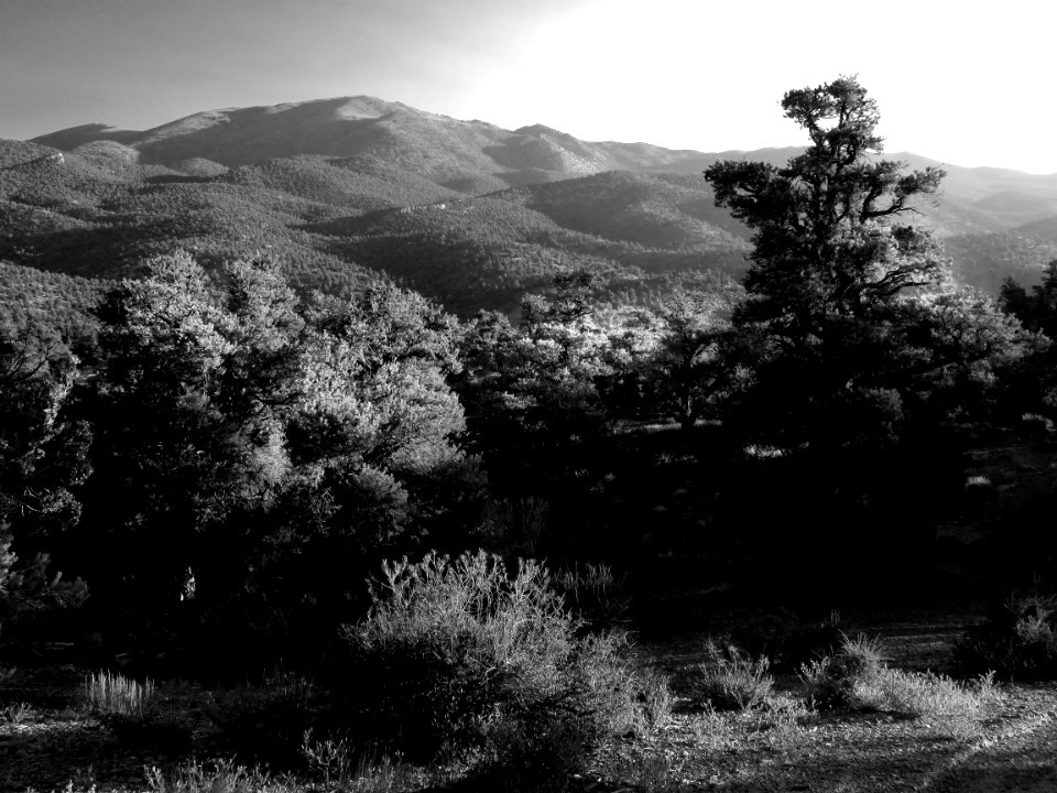 INYO BRISTLECONES & CAMPSITE (8-13-2017) - 33b BW