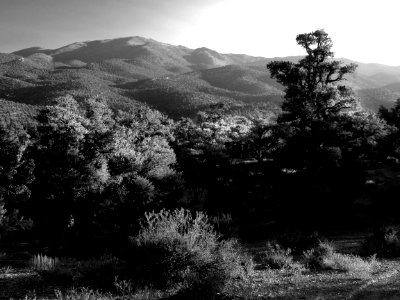 INYO BRISTLECONES & CAMPSITE (8-13-2017) - 33b BW