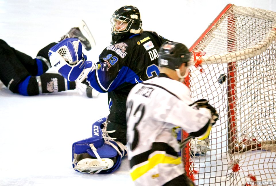 Ice Hockey - Bracknell Bees Vs Sheffield Steeldogs