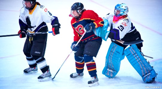 Ice Hockey: Guildford Lightning At Milton Keynes Falcons