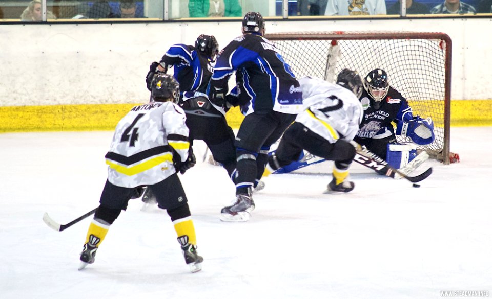 Ice Hockey - Bracknell Bees Vs Sheffield Steeldogs
