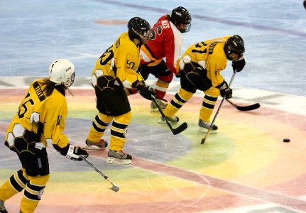 Bracknell Firebees Vs Streatham