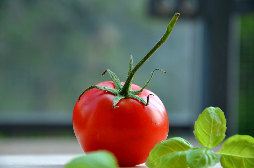 Food healthy organic
