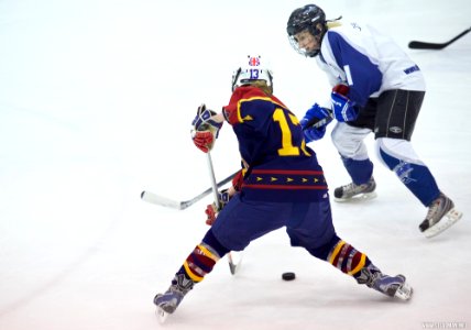 Ice Hockey - Guildford Lightning At Sheffield Shadows