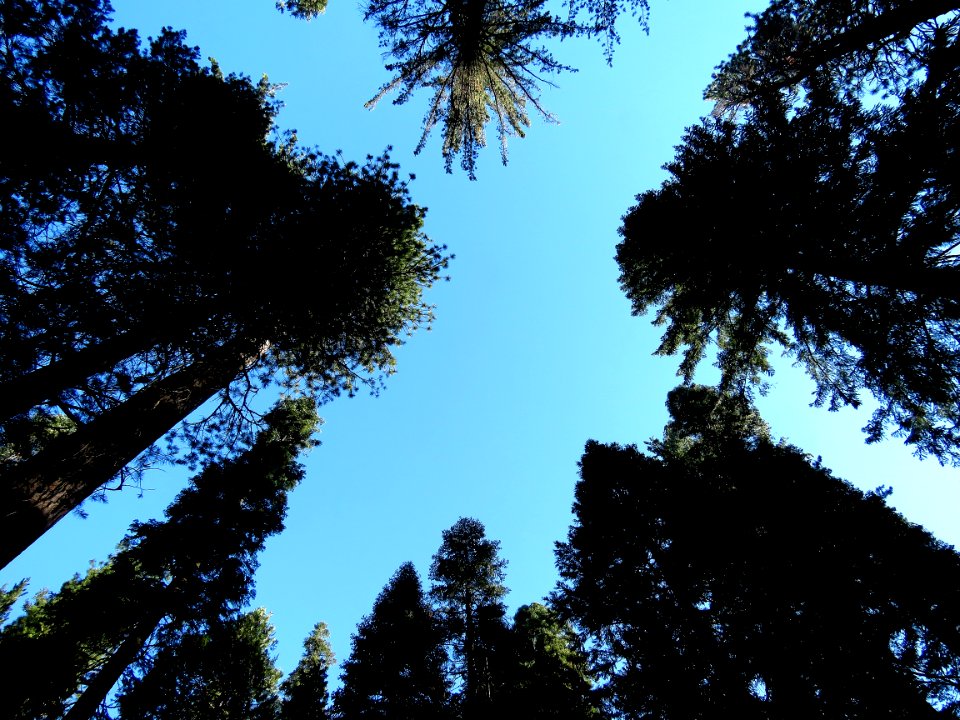 SIERRA CAMPSITE IMAGES - 1 - 05