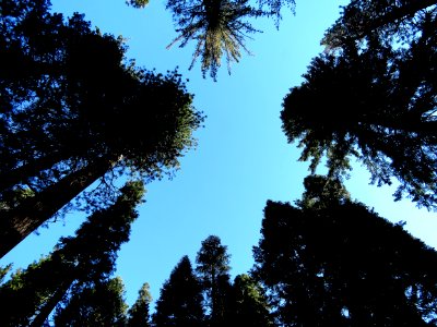 SIERRA CAMPSITE IMAGES - 1 - 05