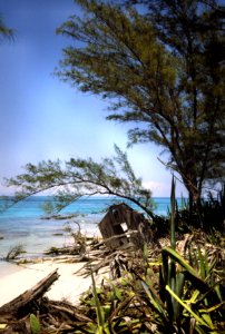 LOGGERHEAD KEY, April 24-29, 1993 -2