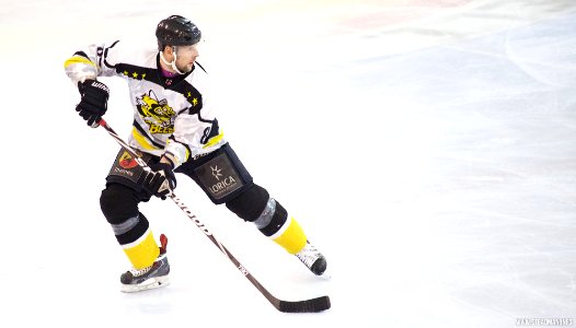 Ice Hockey - Bracknell Bees Vs Sheffield Steeldogs