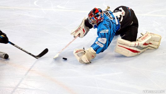 Bracknell Bees Vs Manchester Phoenix