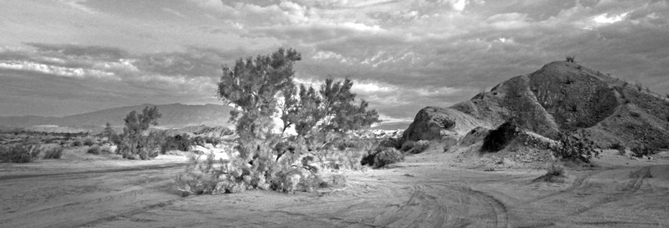 CA - VALLACITO VALLEY CAMPSITE (1-6-2017) anza-borrego state park, san diego co, ca -14 BW photo