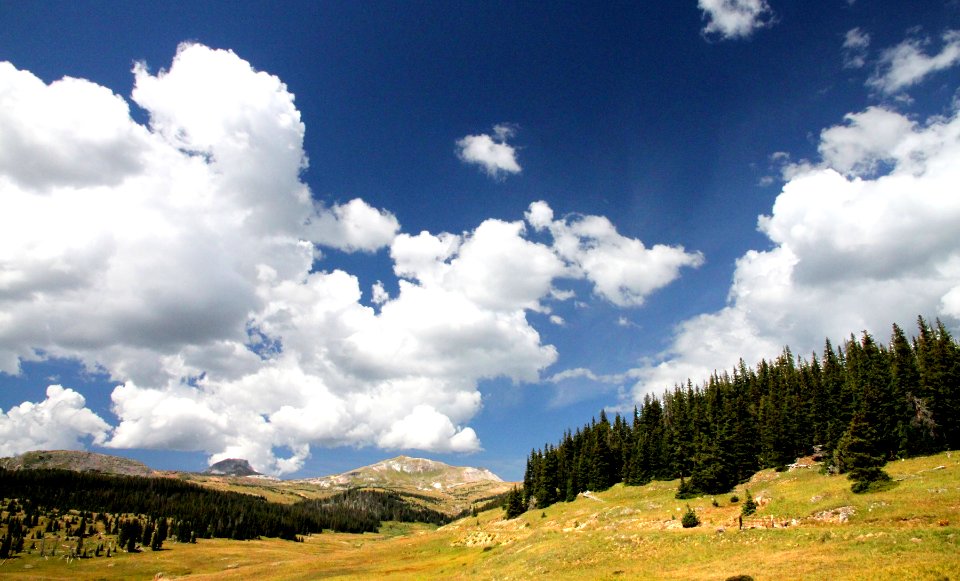 ELWOOD PASS area (8-20-13) far s-w rio grande co, co -04