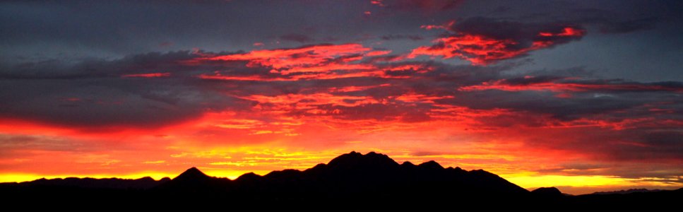 VIEW FROM THE HOUSE - 0239 (7-5-15) -05