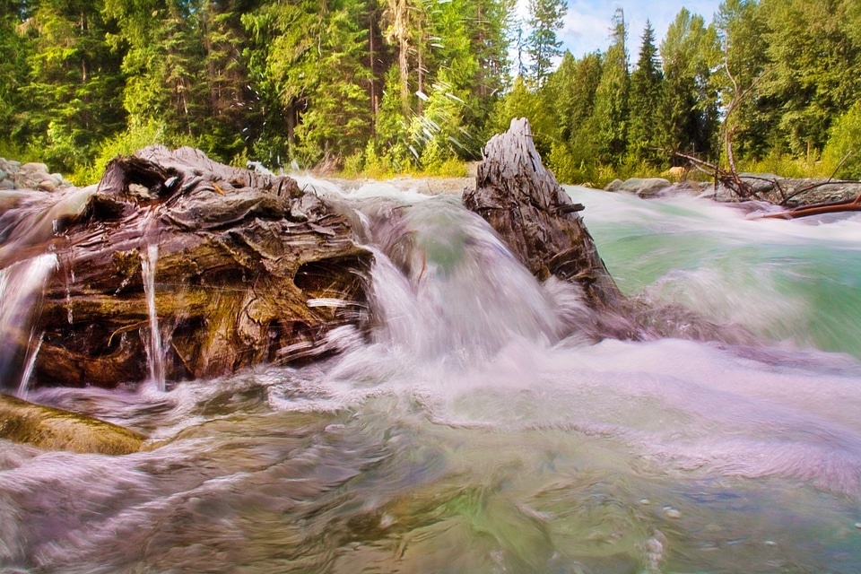 Stream nature water