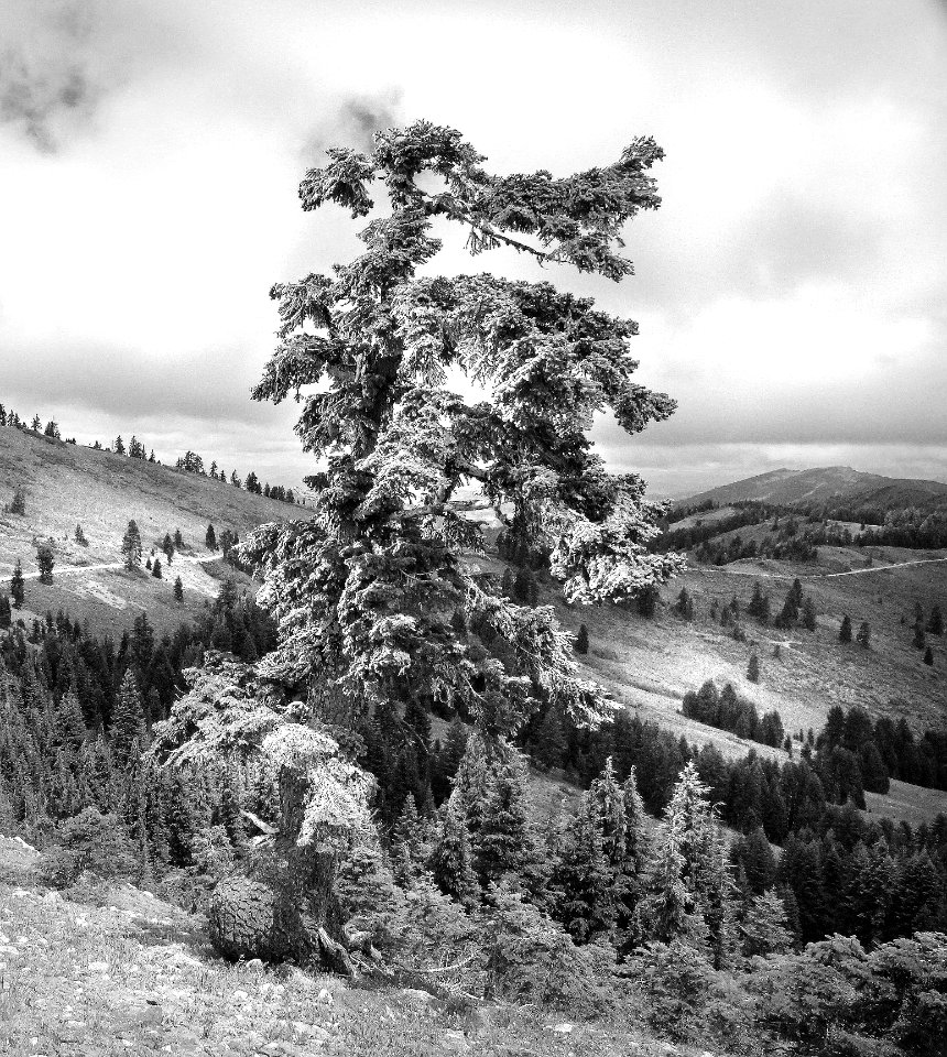 OR - N-CA TRIP of Jun 2014 -20
