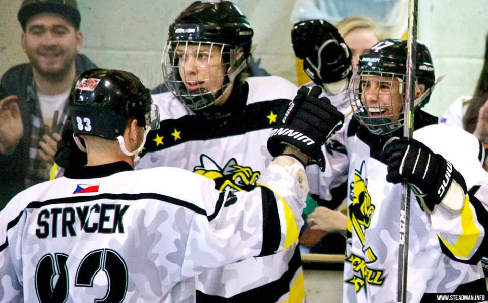 Ice Hockey - Bracknell Bees Vs Sheffield Steeldogs