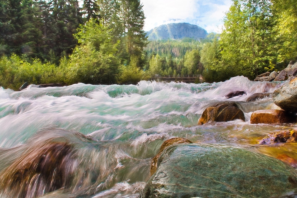 Stream nature water