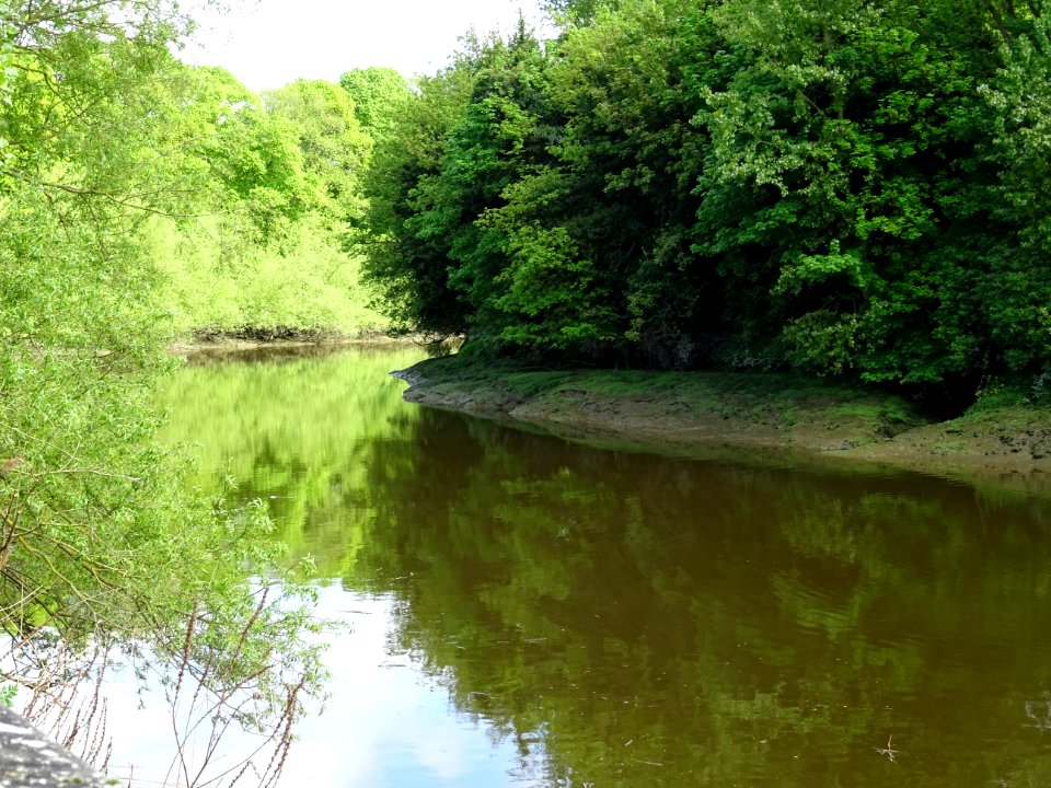 River Medway Aylesford