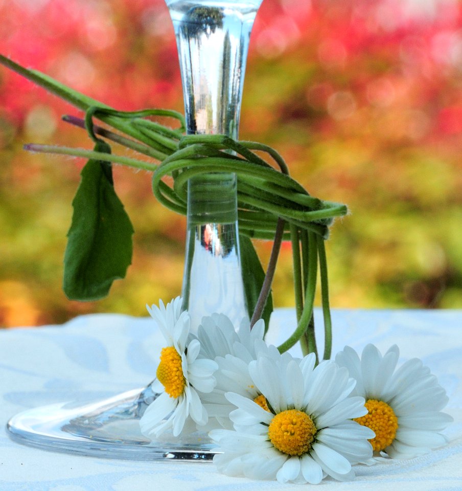Cin cin alla primavera!