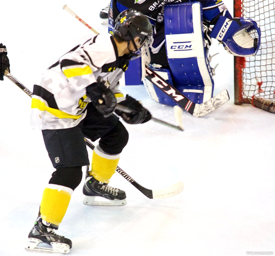 Ice Hockey - Bracknell Bees Vs Sheffield Steeldogs