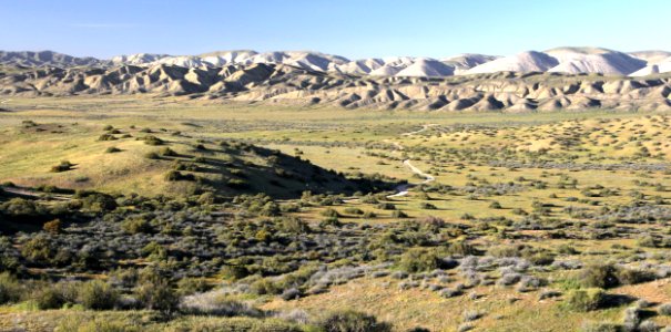 11 - 009a - QUAIL SPRINGS CUTOFF ROAD, carrizo plain national monument, san luis obispo co, ca -01