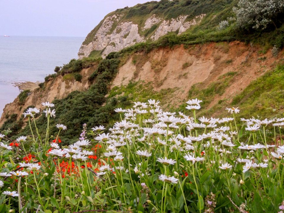 Isle of Wight