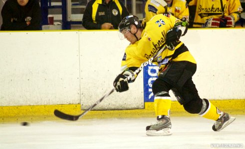 Basingstoke Bison Vs Bracknell Bees