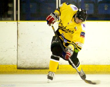 Basingstoke Bison Vs Bracknell Bees