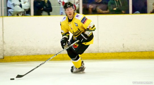 Basingstoke Bison Vs Bracknell Bees