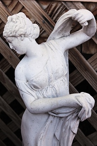 Woman female garden