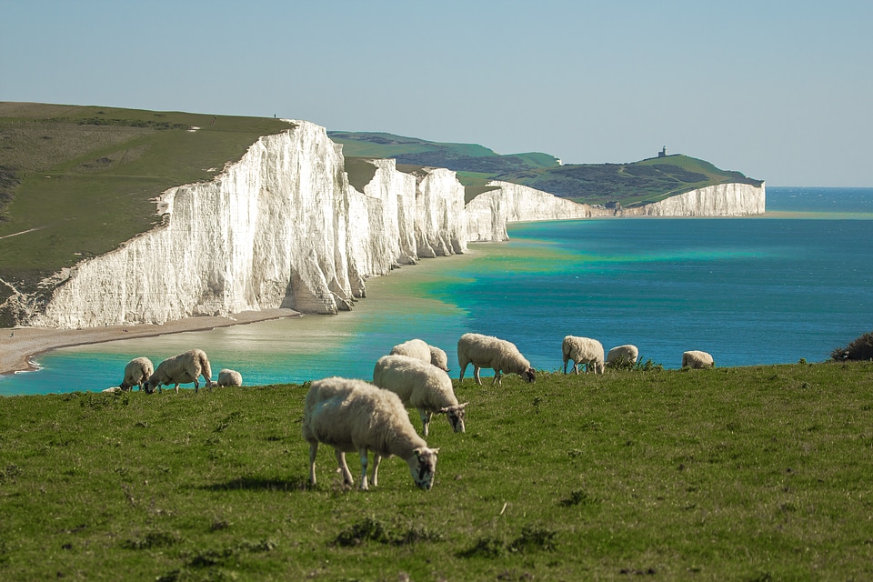 Panorama sea country