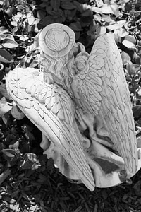 Wings religion heaven photo