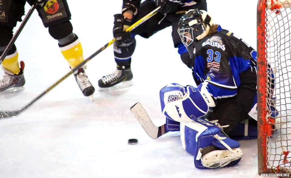 Ice Hockey - Bracknell Bees Vs Sheffield Steeldogs