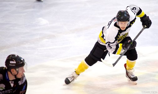 Ice Hockey - Bracknell Bees Vs Sheffield Steeldogs