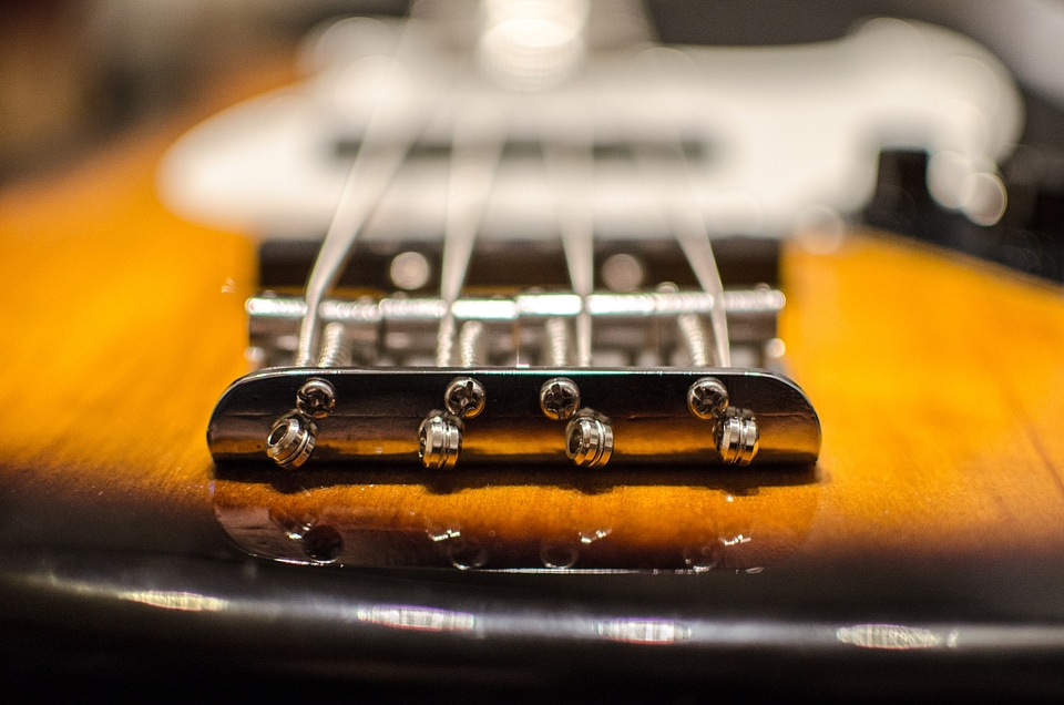 Stringed instrument musical instrument instrument