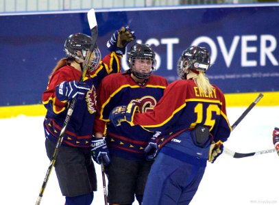 Ice Hockey - Guildford Lightning At Sheffield Shadows