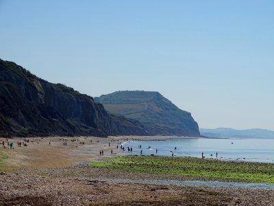 Charmouth Beach
