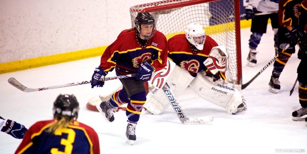 Ice Hockey - Guildford Lightning At Sheffield Shadows