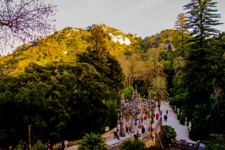 Palacio da Regaleira | Sintra