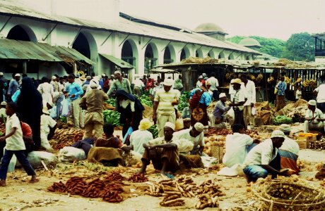 afrika 1994