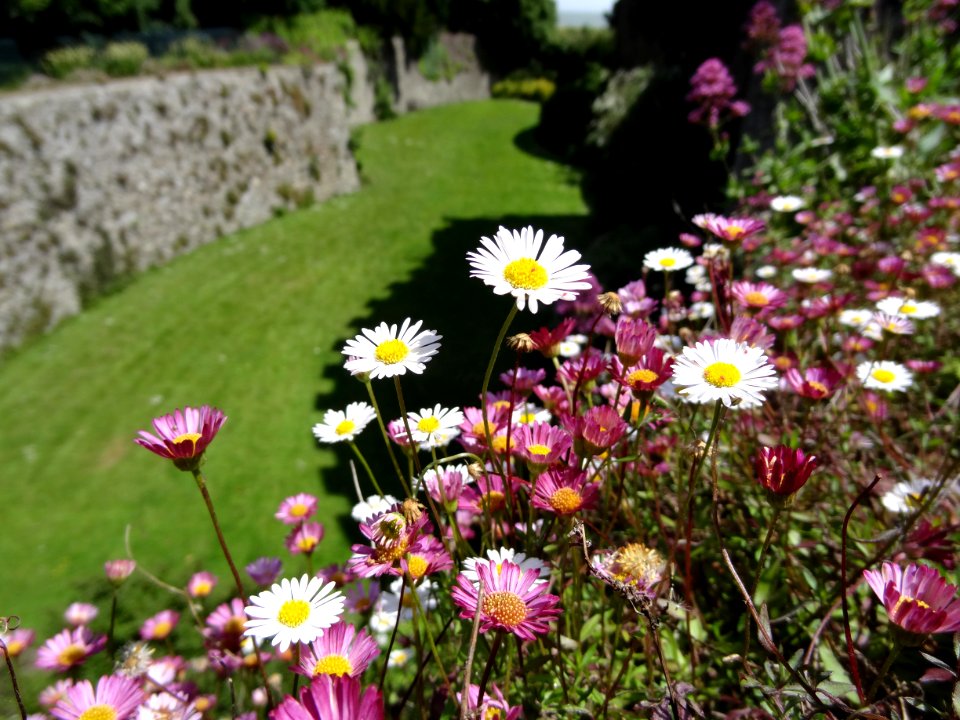 Walmer Castle Gardens