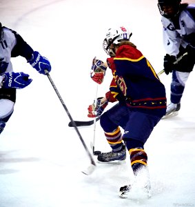 Ice Hockey - Guildford Lightning At Sheffield Shadows