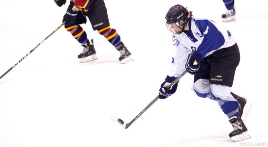 Ice Hockey - Guildford Lightning At Sheffield Shadows